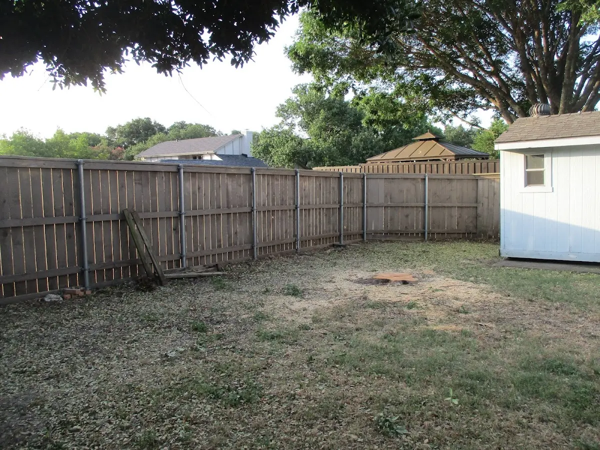 Cleared yard after professional tree removal in Englewood